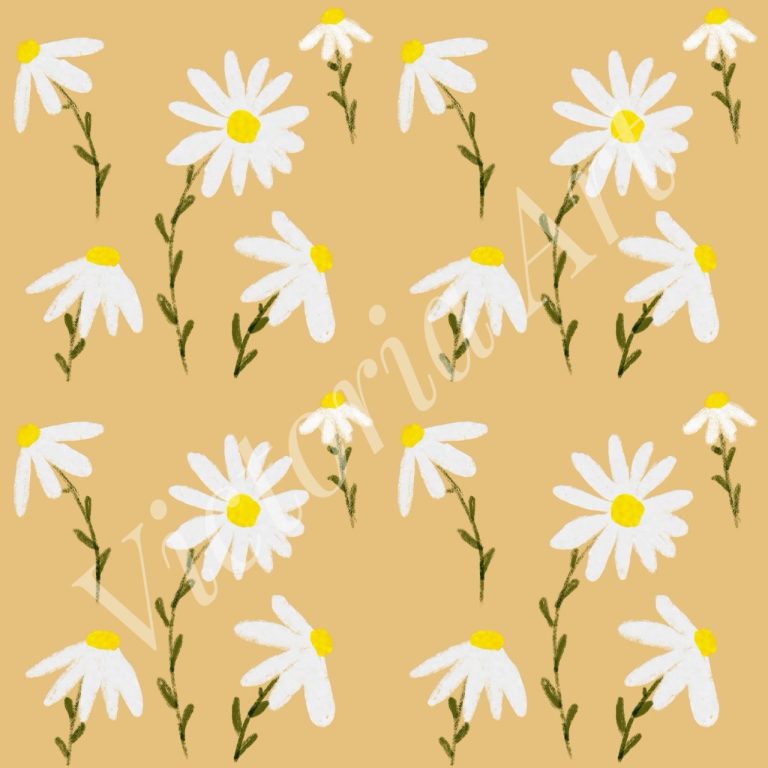 Daisies